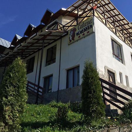 Pensiunea Cabana Veverita Valea Doftanei Trăisteni Exterior foto