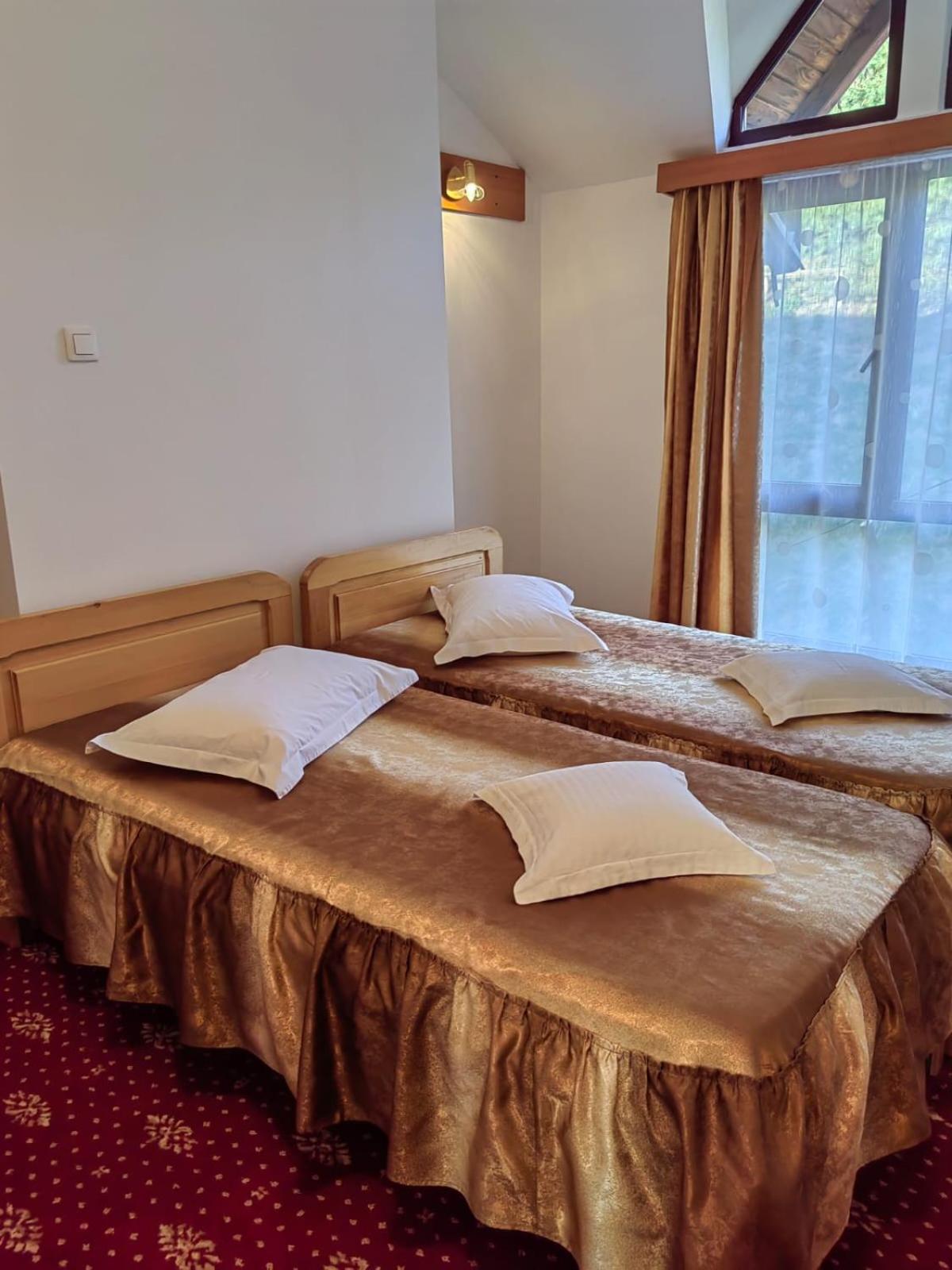 Pensiunea Cabana Veverita Valea Doftanei Trăisteni Exterior foto