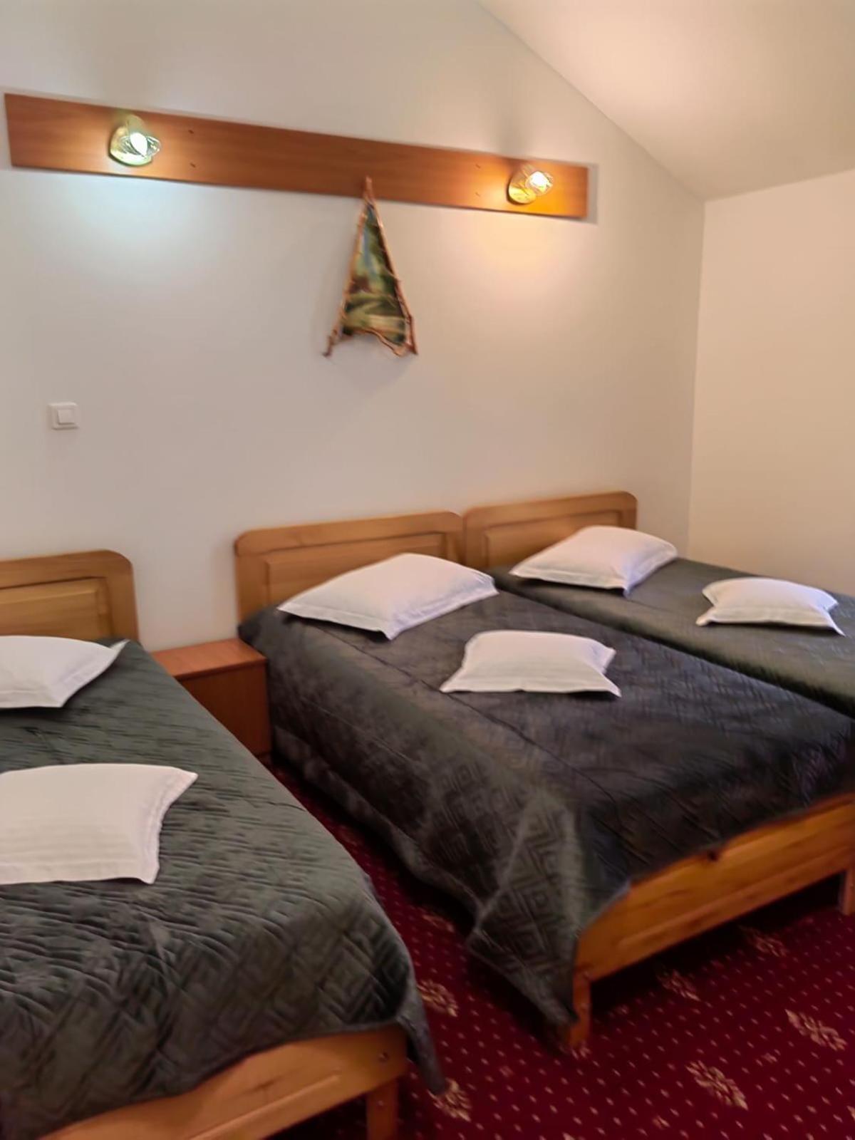 Pensiunea Cabana Veverita Valea Doftanei Trăisteni Exterior foto
