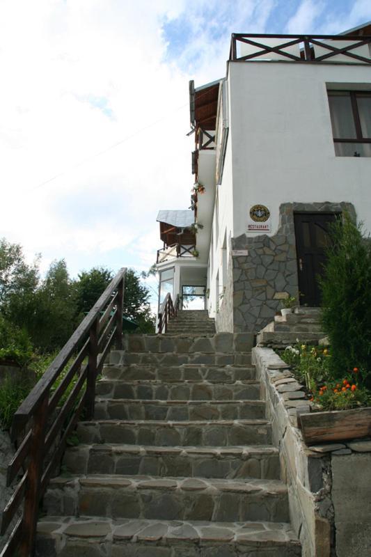 Pensiunea Cabana Veverita Valea Doftanei Trăisteni Exterior foto