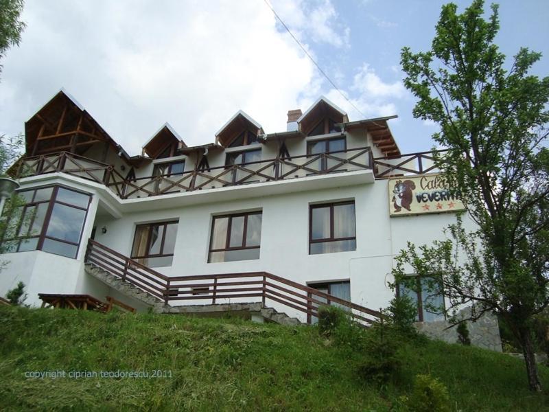 Pensiunea Cabana Veverita Valea Doftanei Trăisteni Exterior foto
