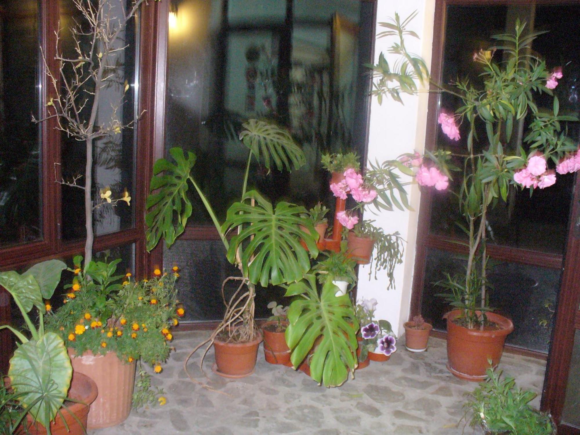 Pensiunea Cabana Veverita Valea Doftanei Trăisteni Exterior foto