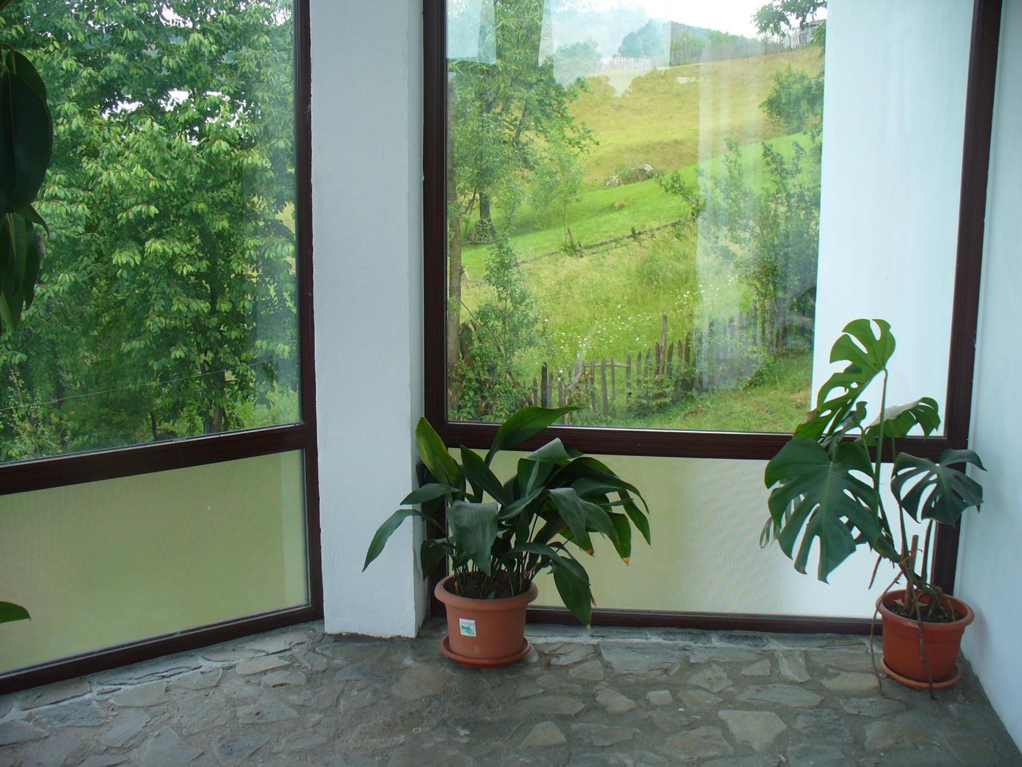 Pensiunea Cabana Veverita Valea Doftanei Trăisteni Exterior foto