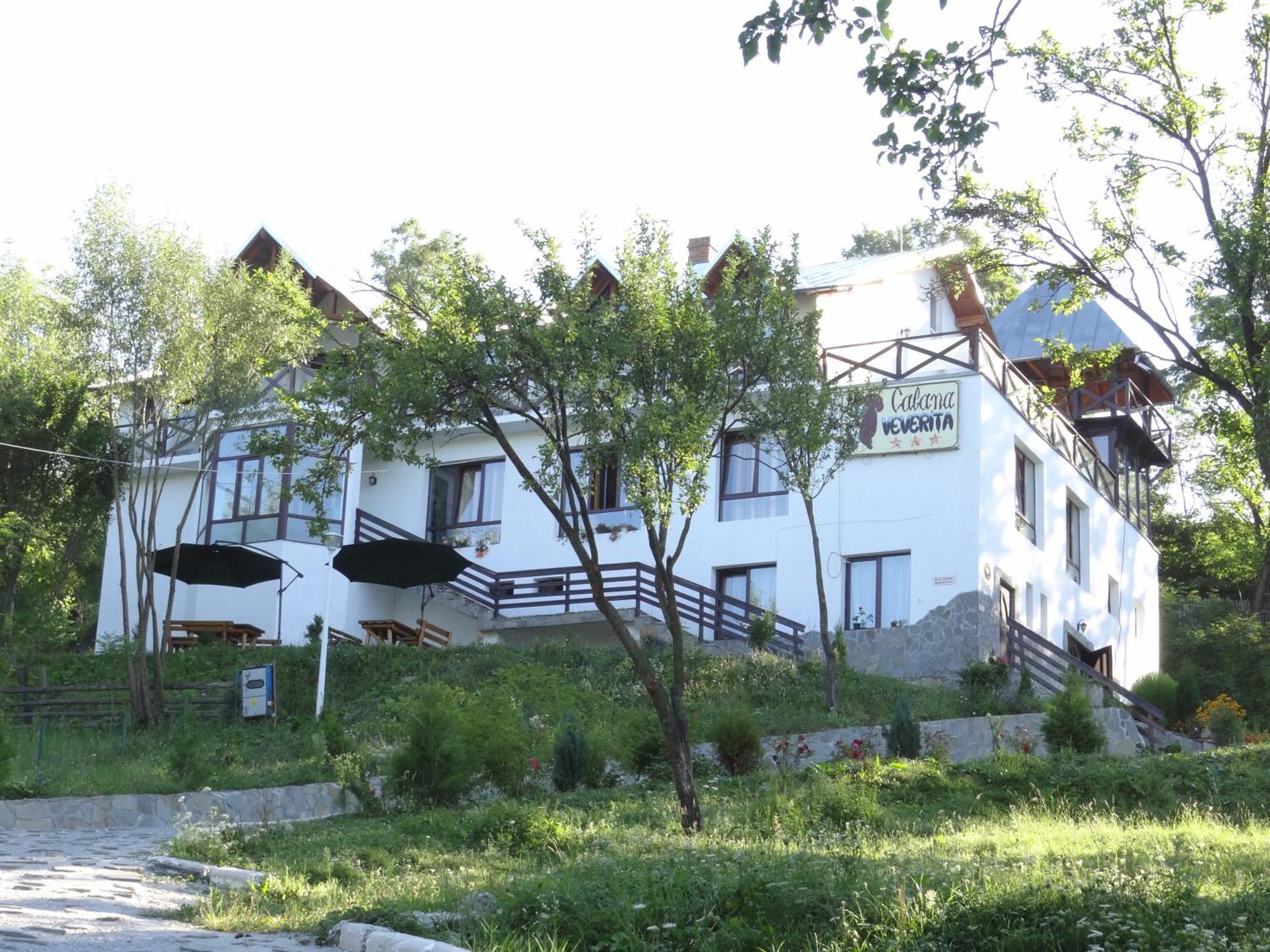 Pensiunea Cabana Veverita Valea Doftanei Trăisteni Exterior foto