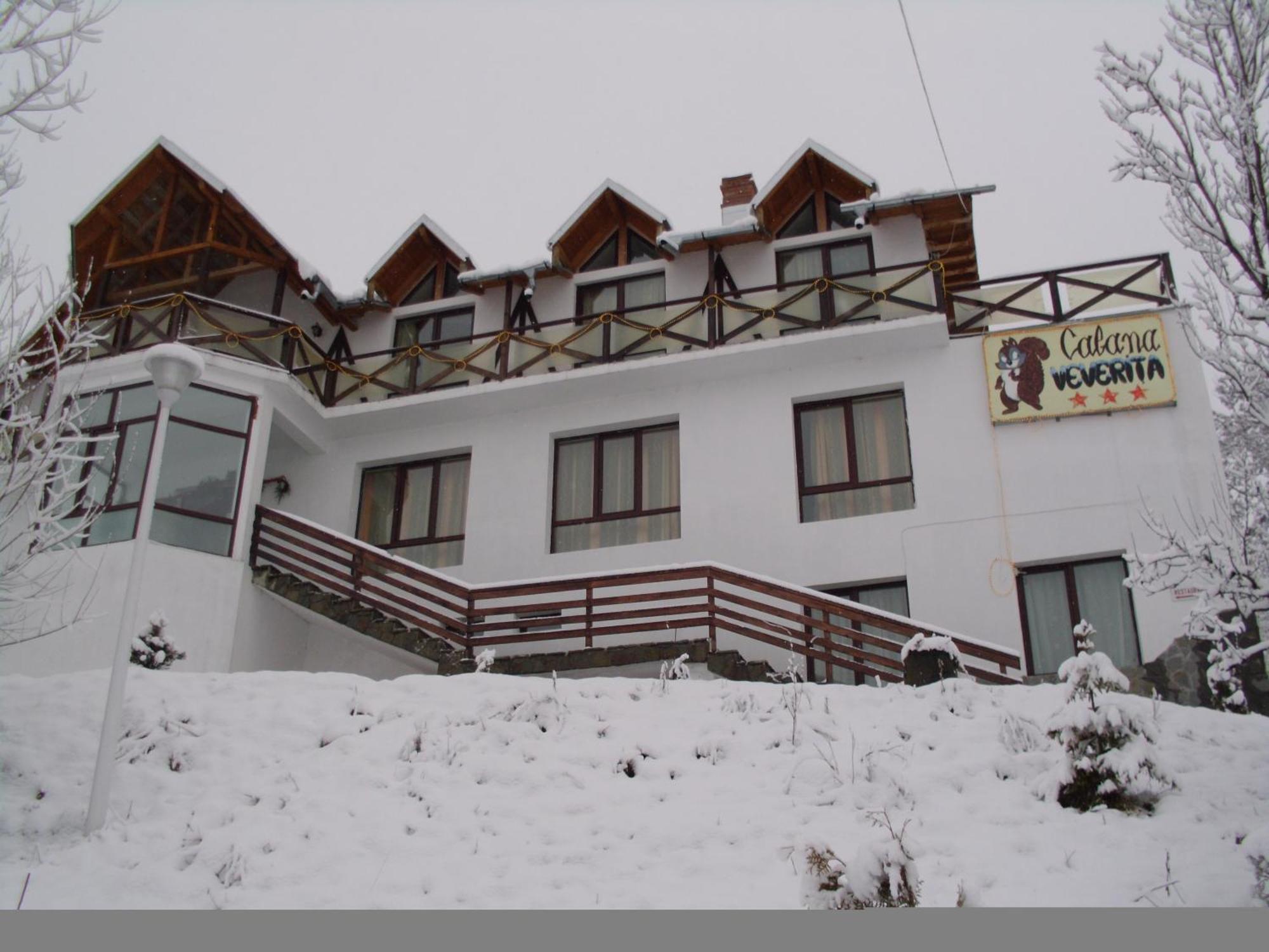 Pensiunea Cabana Veverita Valea Doftanei Trăisteni Exterior foto