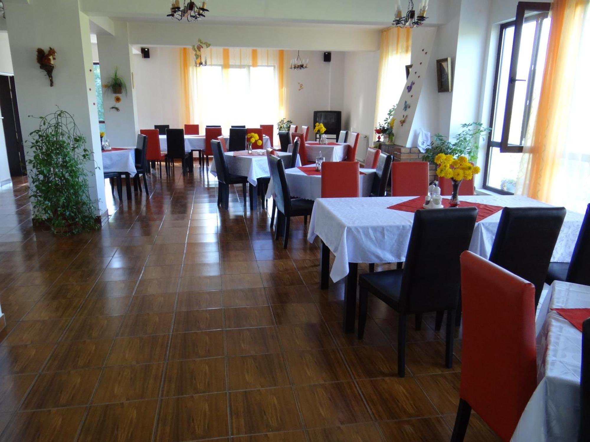 Pensiunea Cabana Veverita Valea Doftanei Trăisteni Exterior foto